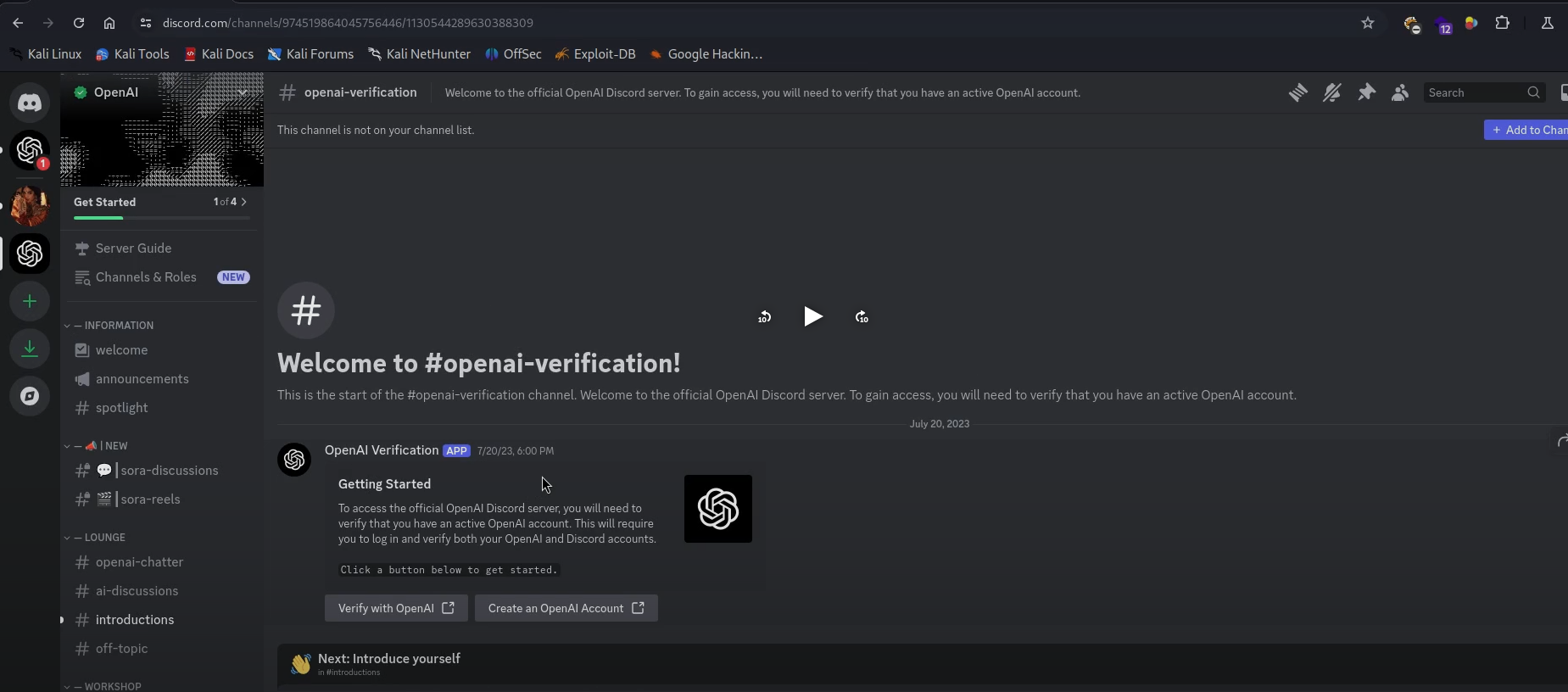 The OpenAI Discord server showing the openai-verification channel, with a Verify with OpenAI button