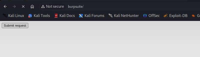 The generated CSRF proof-of-concept page open in a browser, ready to submit
